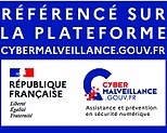 Cybermalveillance
